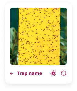 Feature 2